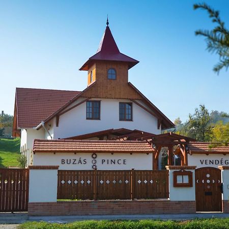 Buzás Pince Vendégház Ecséd Esterno foto